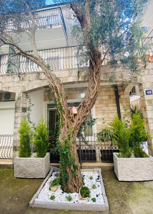 Apartment Oliva1 Petrovac Dış mekan fotoğraf